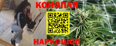трава Можайск