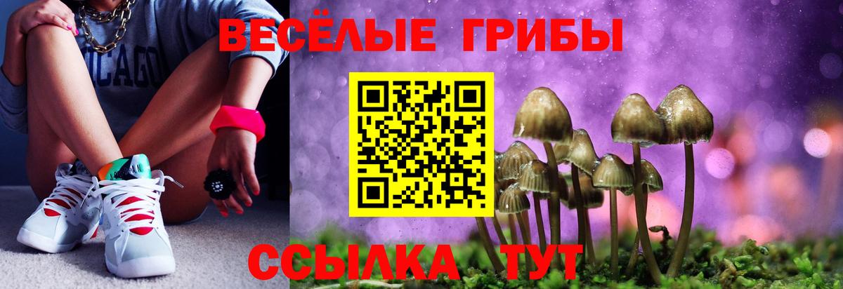 Уварово  Псилоцибиновые грибы Psilocybe  Вход с VPN 